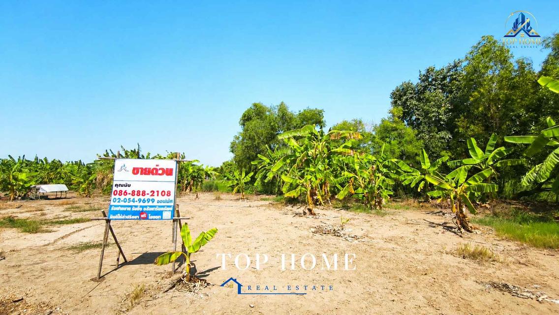 📍ขายที่ดินจัดสรรแปลงสวย ถมแล้ว 156 ตร.ว ตำบลบางเตย อำเภอสามโคก จังหวัดปทุมธานี📍 2