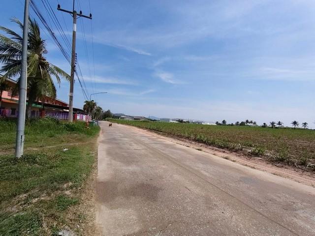 ให้เช่าที่ดินบ้านบึงชลบุรี #ให้เช่าที่ดินระยะยาวเนื้อที่ 9-3-68 ไร่ (2 โฉนด) ที่ดินอยู่ใกล้ถนนเส้น 344 ห่างจากท่าเรือแหล 3