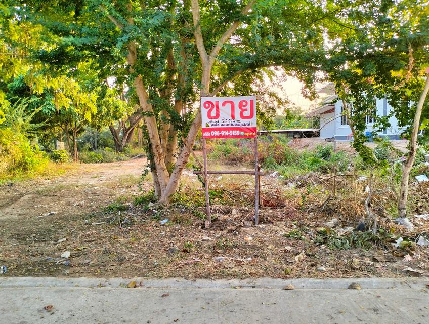 ขายที่ดินเปล่า127ตรว.หลังวิทยาลัยอาชีวไทยเทคเอเชีย ห่างถนนหลวง สมเด็จ-มุกดาหาร 200เมตร  5