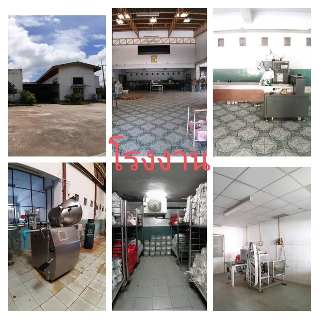 ขายโรงงานพร้อมภัตตาคาร อยู่ติดถนนสายเอเชีย อำเภอโกรกพระ นครสวรรค์ 14