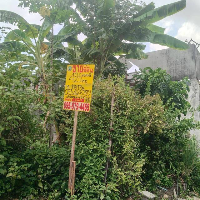 ขายด่วนที่ดินใกล้รถไฟฟ้า 42.5 ตรว ติดถนนคอนกรีต ถมแล้ว ซ.แจ้งวัฒนะ 10 แยก 2-3 บางเขน กทม. 3