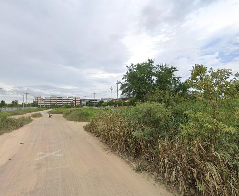 ขายที่ดินในนิคมอมตะซิตี้สีม่วง 7 ไร่ ปลวกแดง เหมาะทำโรงงาน ใกล้ถนนสัตหีบ-พนมสารคาม(331) - 7.3 กม. มาบยางพร ระยอง 5