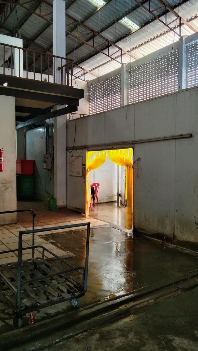 ด่วนขายโรงงานน้ำแข็ง 20 ตัน 19