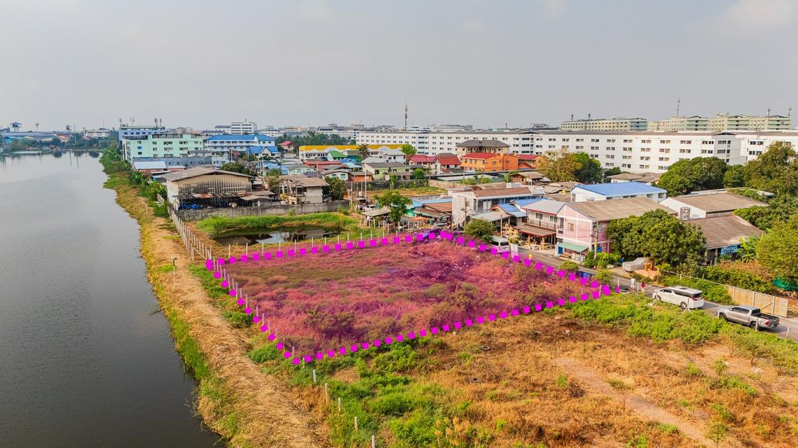 ขายที่ดิน ซอยเทศบาลบางปู 71 สมุทรปราการ พื้นที่สีม่วง ที่แปลงสวย