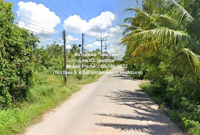 ที่ดิน ที่ดิน พร้อมสวนเกษตร (สวนยาง+มะพร้าว) ต.ชัยบุรี อ.เมืองพัทลุง จ.พัทลุง 2988 sq.wa 4500000 บาท ไม่ไกลจาก วัดวิหารส