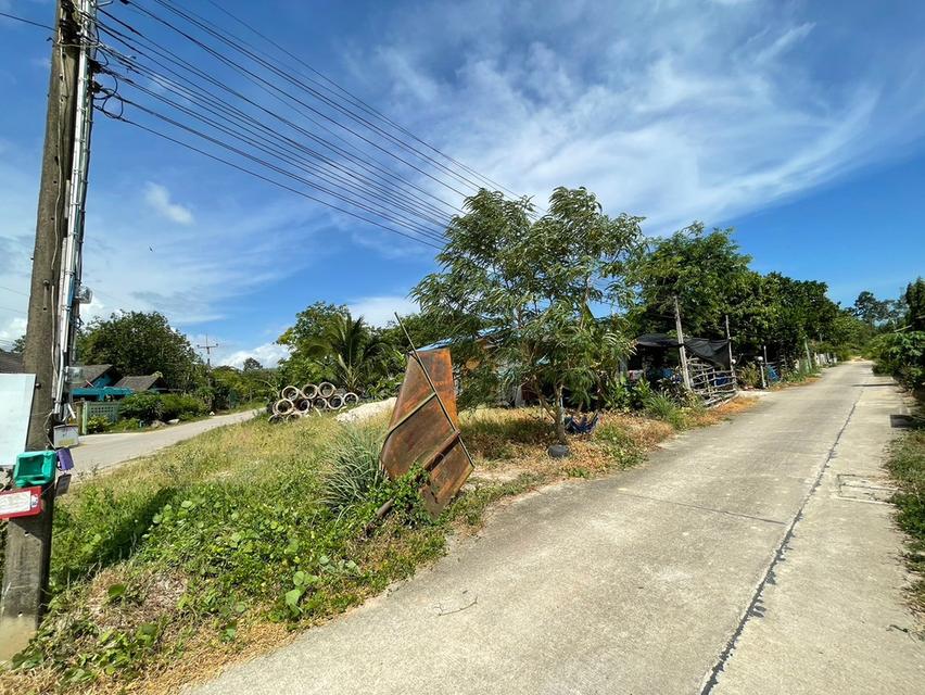 ขายที่ดินตาขันถมแล้วเนื้อที่ 54 ตรว. ติดถนน2ด้าน ใกล้ร.พ.ตาขัน-7กม.เข้าซอยจากถ.4เลนเชิงเนิน-ชากบก-430เมตร อ.บ้านค่าย ระยอง 3