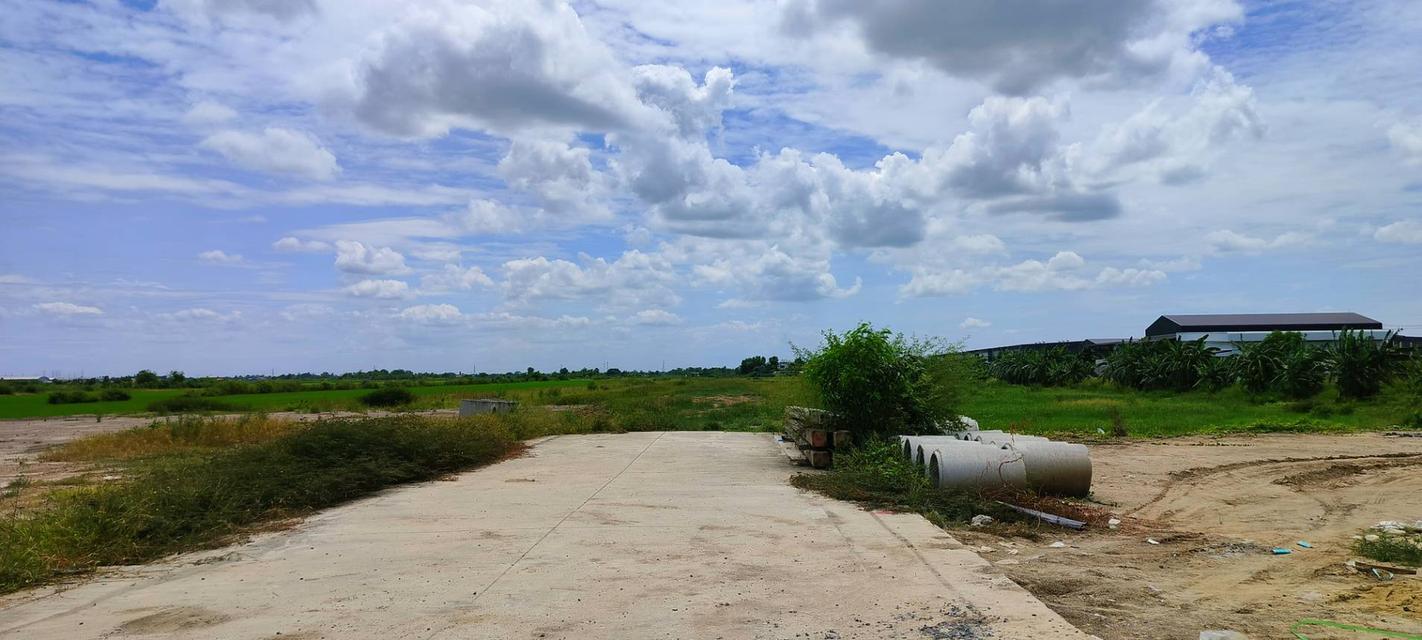 ขายที่ดิน 4