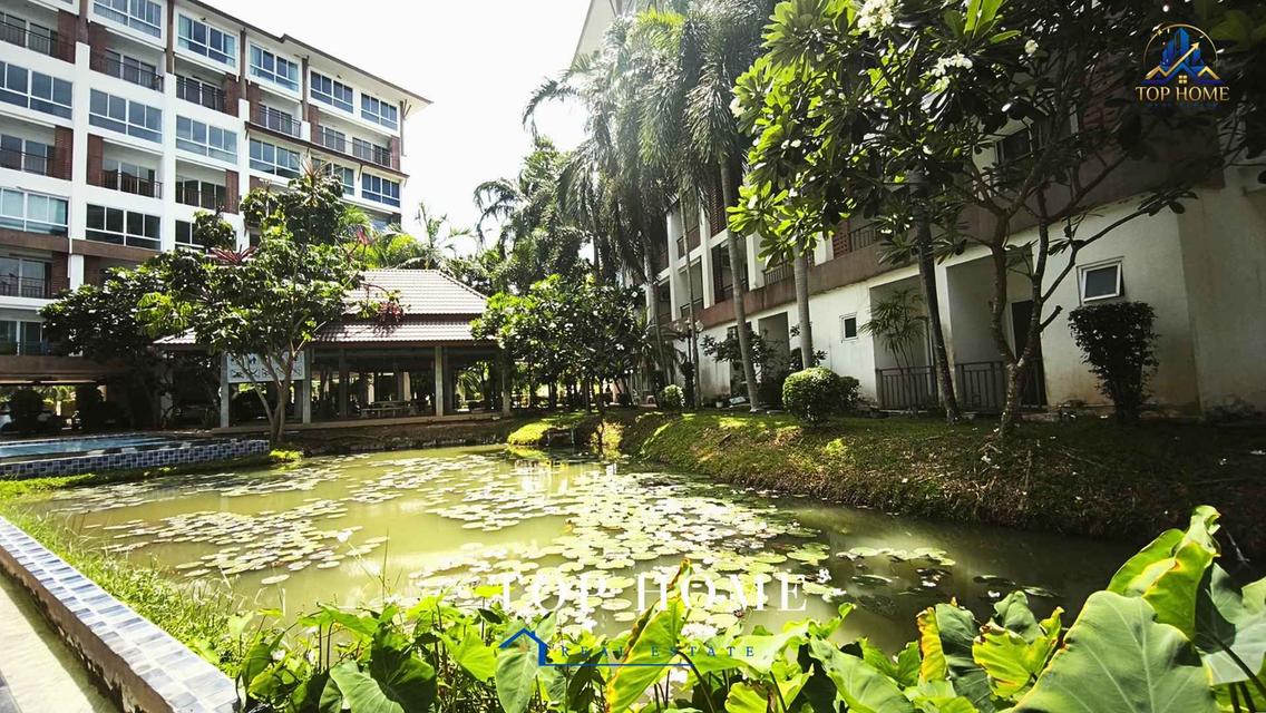 ขายด่วน! AD Bang Saray Lake & Resort คอนโดใกล้หาดบางเสร่ ห้องวิวภูเขา บรรยากาศรีสอร์ท รูปที่ 14