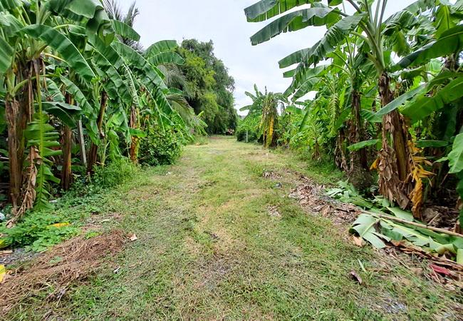 ขายที่ดิน หมู่บ้านปากเกร็ดวิลเลจ ซอยติวานนท์-ปากเกร็ด 20 ถนนติวานนท์ อำเภอปากเกร็ด นนทบุรี 4