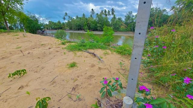 ขายที่ดินชุมพรหาดบ้านหนองบัว 107ตรว. 2แปลงสุดท้ายราคาพิเศษ ทำเลดีเดินทางสะดวก 3