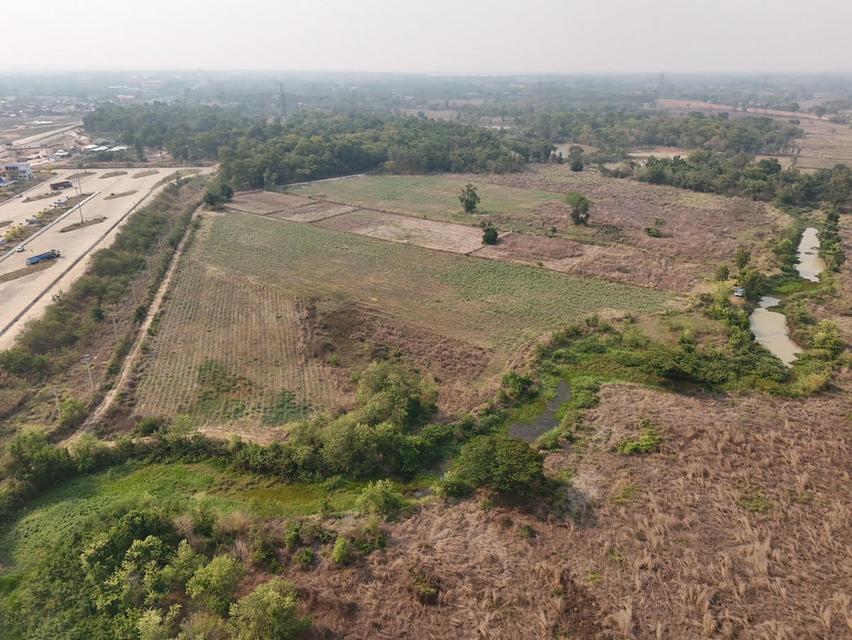 ขายที่ดิน 4 แปลงติดกัน ขนาด  252 ไร่ เขตอำเภอเมืองอุดรธานี อุดรธานี 3