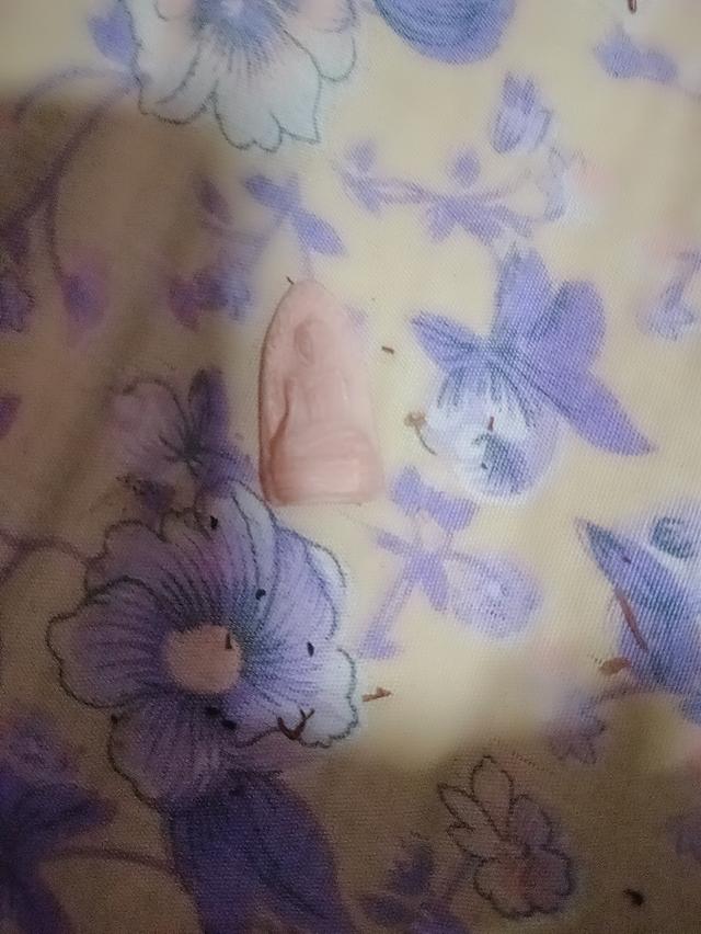 พระรอดสภาพไม่ผ่านการใช้งานเก่ามือเเรกเกรดเอ 5