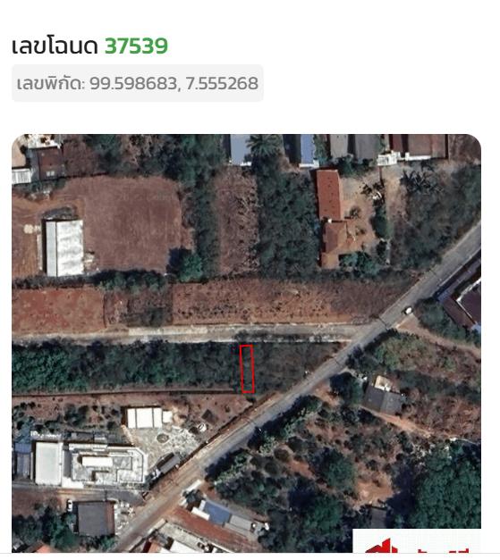 ที่ดินเปล่า 5 ห้อง ห้องละ 20 ตร.วา รวม 100 ตร.วา อยู่ในเมือง ต.ทับเที่ยง และที่ดินเปล่า10 ห้อง ห้องละ25ตร.วารวม 250 ตร.วา ต.บ้านโพธิ์ อ.เมืองตรัง  5