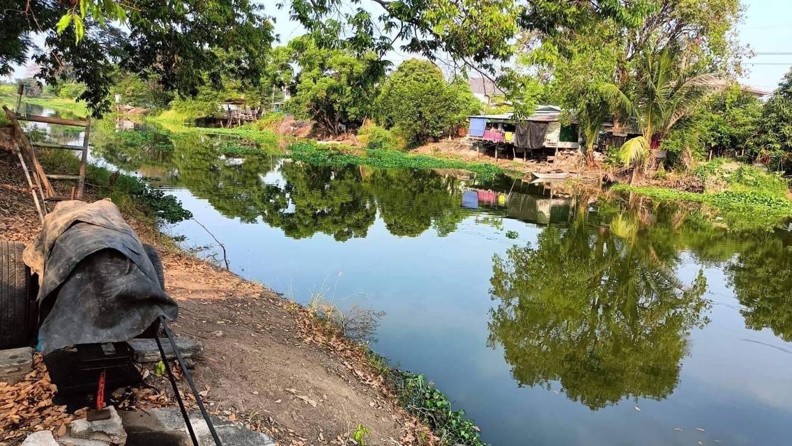 📕โฉนดครุฑแดง นส.4📕 🙏🏻ขายที่ดินหน้าติดถนน หลังติดคลองพระอุดม🙏🏻 🔥จำนวน 2 ไร่🔥 📣 ขายด่วน ไร่ละ 3.5 ล้าน ไม่แบ่งขาย (ถ้าสนใจ ราคาสามารถพูดคุยกัน 2