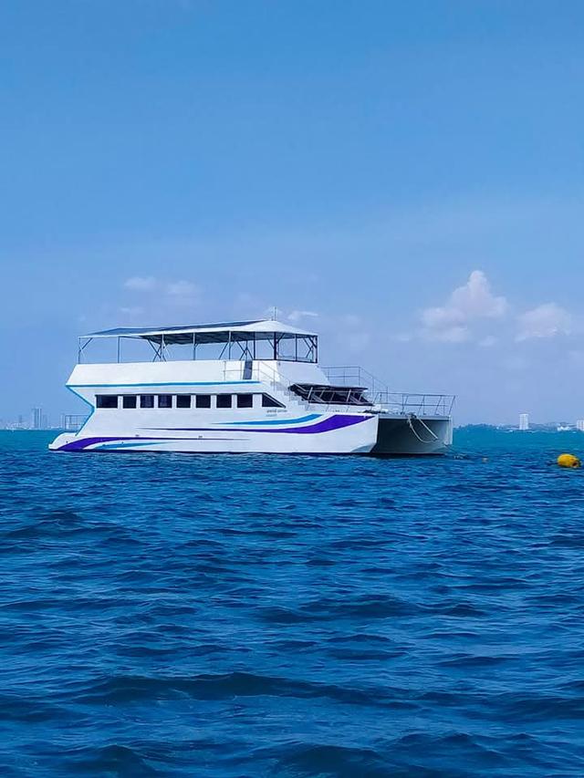 ขายเรือยอร์ช  Motor Catamaran