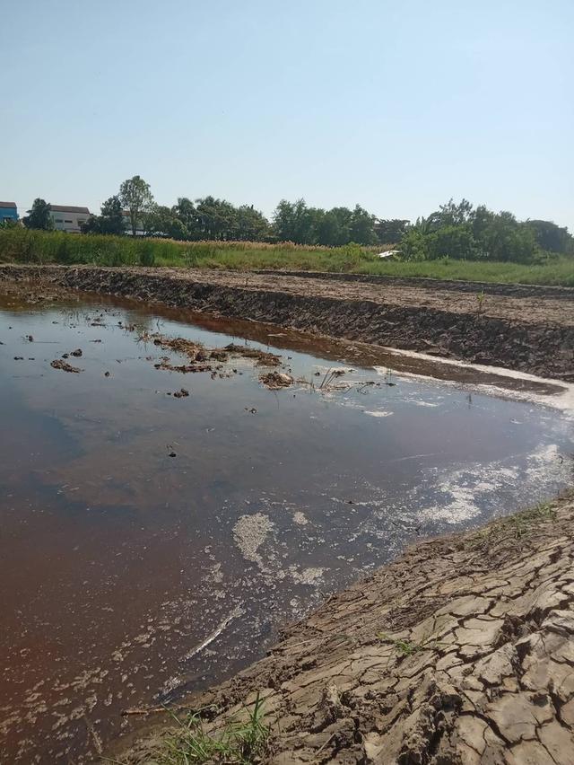 ขายที่ดินเปล่า 525 ตรว. ติดถนนคอนกรีต ซอยเทศบาลบางปู 83 2