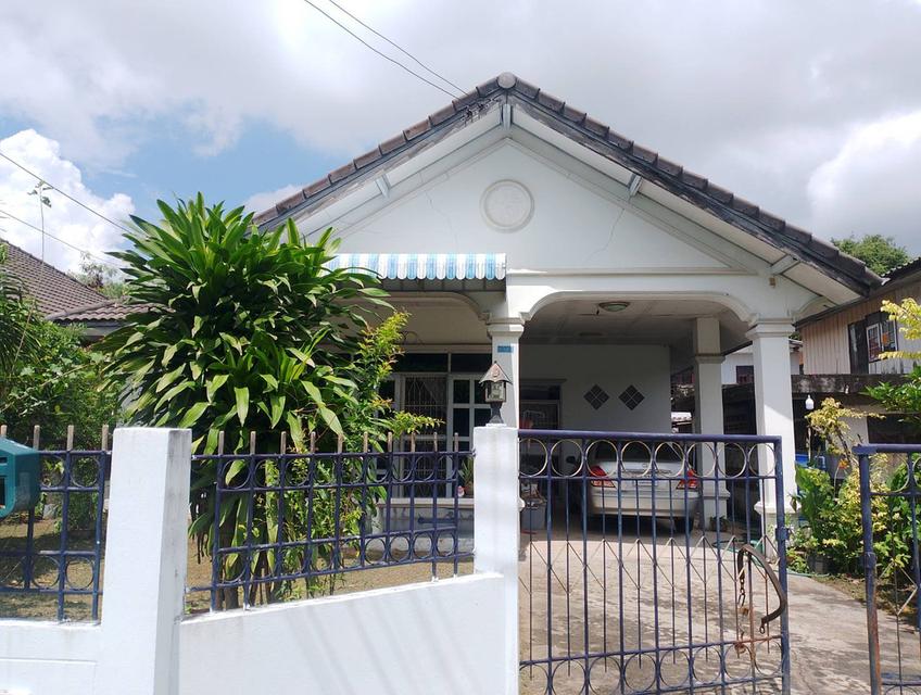บ้านพร้อมที่ดิน 1