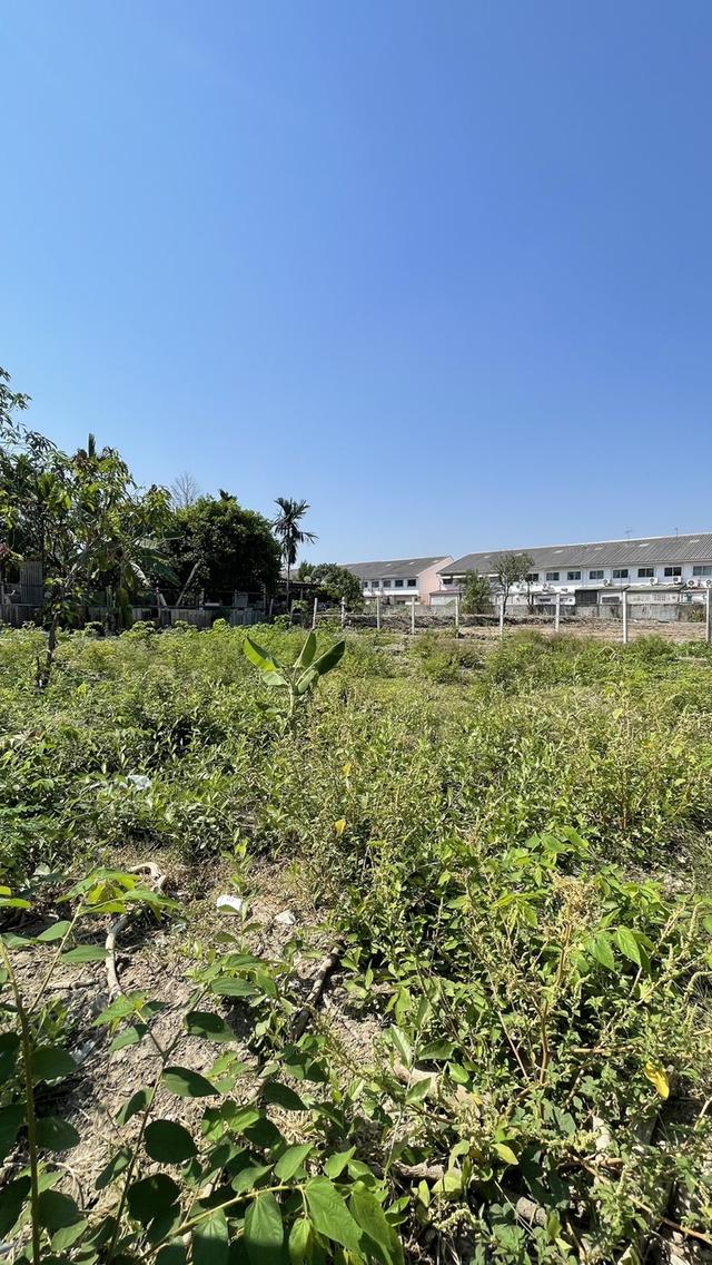 ให้เช่าที่ดินเปล่า ซ.สายไหม 25 2