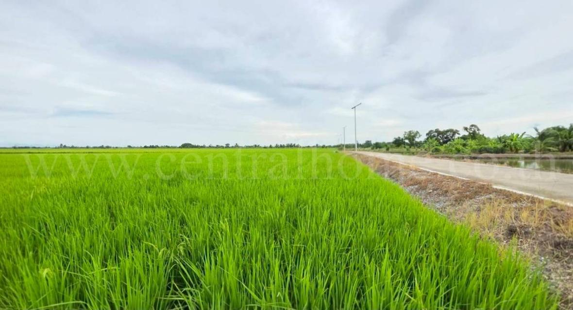 ที่ดินเปล่า 11-1-24 ไร่ คลองนิยมยาตรา บางบ่อ สมุทรปราการ 6