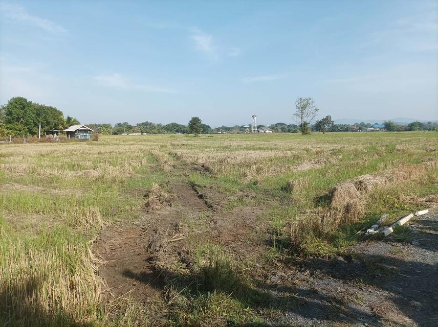 ขายที่ดิน5ไร่ วิวสวย ต.ป่าป้อง อ.ดอยสะเก็ด จ.เชียงใหม่ 2