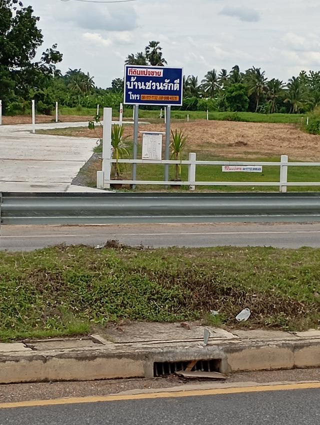 ที่ดินถูก ใกล้ถนน101มาก ช่วงเกาะตาเลี้ยง อ.ศรีสำโรง เหมาะการลงทุนพัฒนาอสังหา ธุรกิจ เก็บไว้เพื่ออนาคต 4