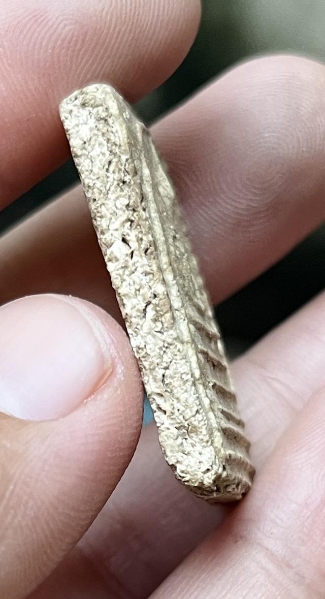 พระสมเด็จเส้นด้ายเนื้อแตกลายงา 5