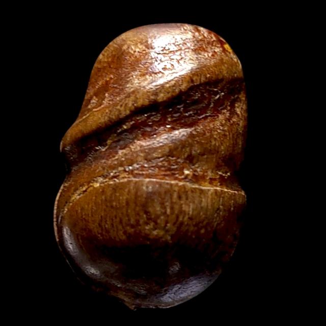 ปลัด ปุ้มปุ้ย เนื้อไม้ จารหมึก เก่า รูปที่ 4