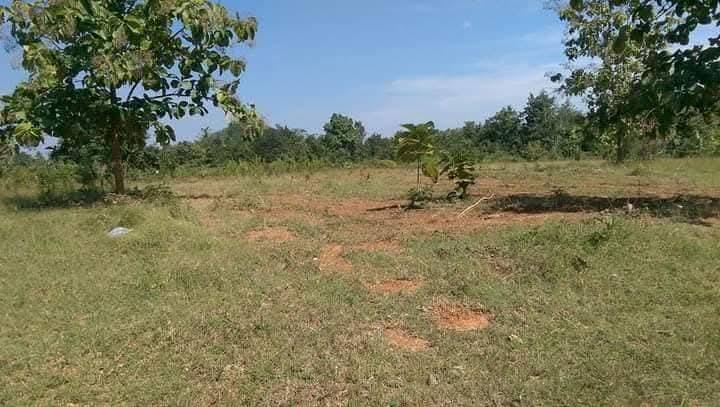 ที่รอออกเอกสารสิทธิ์7ไร่1งาน72ตารางวายกแปลง 220,000บาท​ ล้อมรั้วลวดหนามเรียบร้อย ติดถนนสาธารณะ 2ด้าน  มีต้นลำใยต้นมะม่วง ไผ่ มะพร้าว ต้นสัก ต้นมะขาม 2