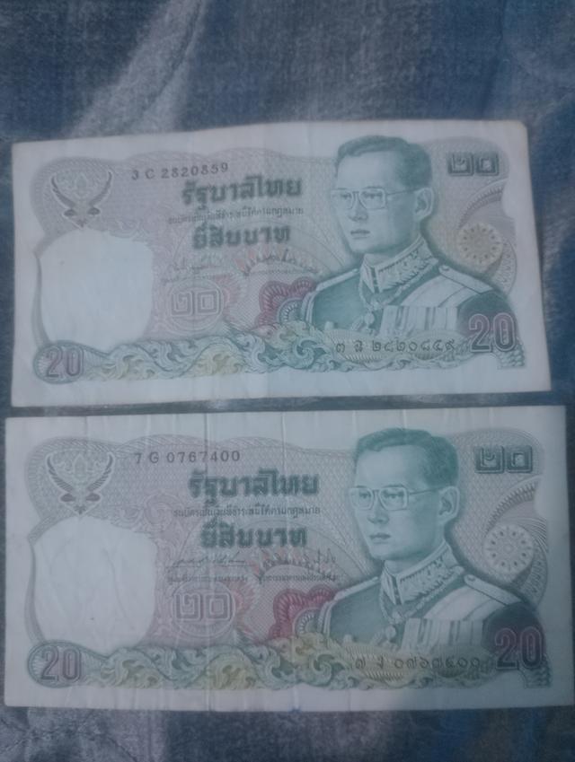 ทันนาบัตรแบร์คยี่สิบสี่