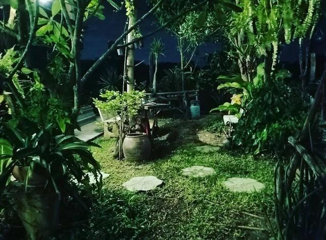 สนใจทรัพย์ดีราคาเงื่อนไขคุยตรงเจ้าของได้ ให้เช่าบ้านไม้ถ่ายหนังถ่ายละคร MV โฆษณา หนังสั้น คอนเท้นท์ บ้านสวยวิวทุ่งนา ไทร 2
