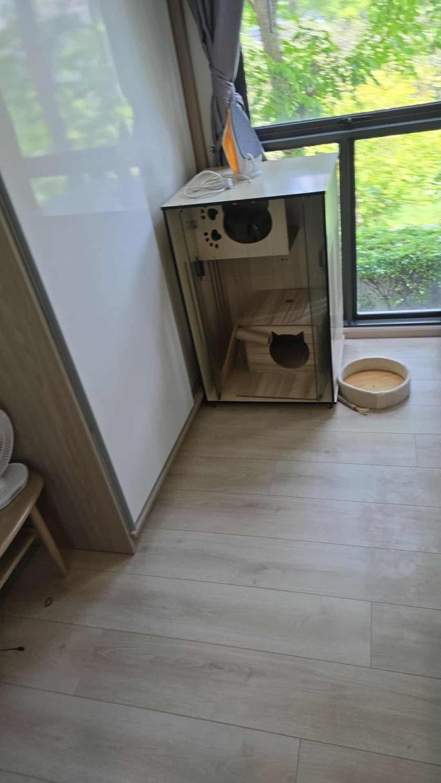 คอนโดแมว บ้านแมว มือสอง รูปที่ 2