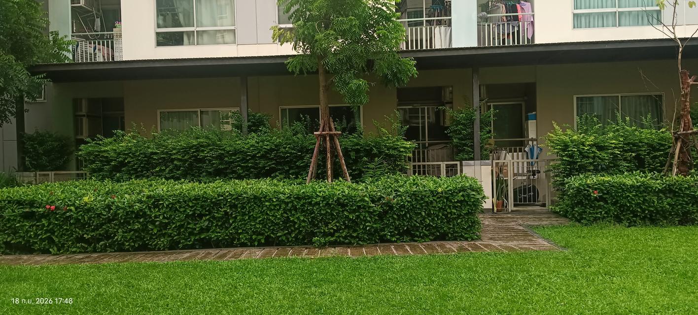 คอนโดลุมพินีวิลล์อ่อนนุชพัฒนาการ 11