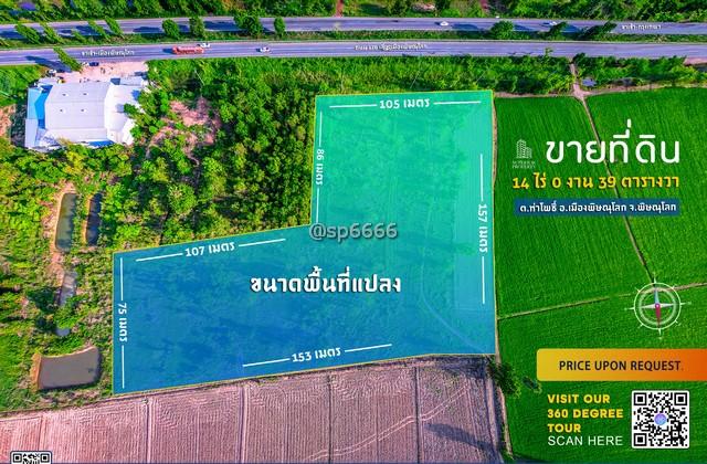 ขายที่ดิน 14 ไร่ พิษณุโลก ติดถนนใหญ่ เส้น Bypass 126 ทำเลดี ใกล้ศาลากลางใหม่ 2