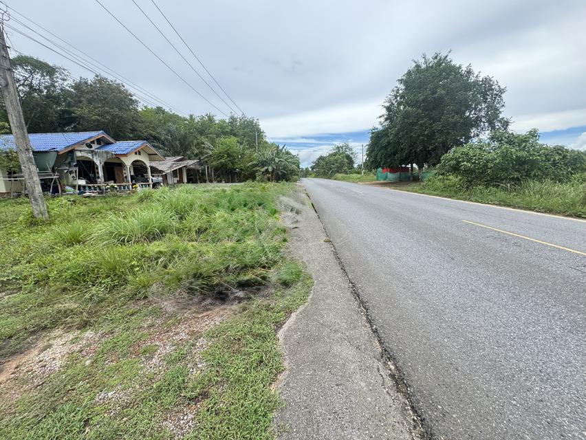 ที่ดินพร้อมบ้าน พื้นที่1ไร่กว่า 3
