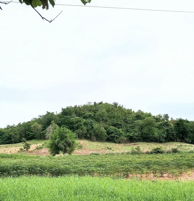 ที่ดินใกล้ถนนสายหลัก อ.น้ำปาด อุตรดิตถ์ 4