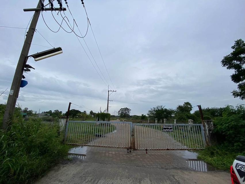 ขายต่ำกว่าประเมินที่ดิน 266 ตรว ติดถนนคอนกรีต ต.บ้านงิ้ว อ.สามโคก จ.ปทุมธานี 11