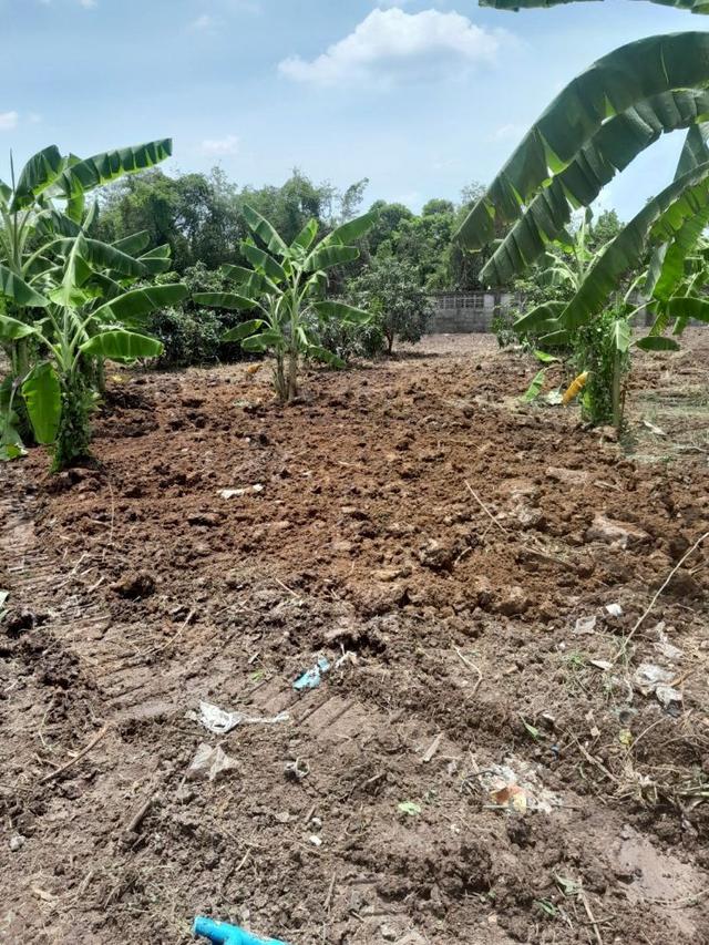 ขายที่ดินแปลงสวย 2 แปลง ถมแล้ว ขนาดเริ่มต้น 151 ตร.ว. ซอยวัดสลักเหนือ ปากเกร็ด ใกล้สถานีรถไฟฟ้าอิมแพค เมืองทองธานี 4