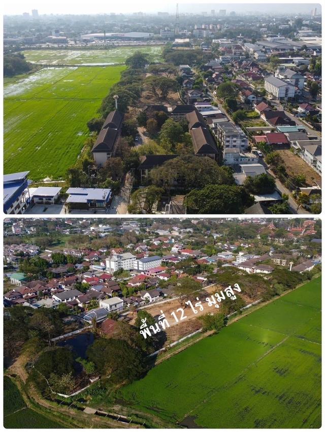 ที่ดินเชียงใหม่ต่ำกว่าราคาประเมิน ขายที่ดินในเมืองเชียงใหม่ 8