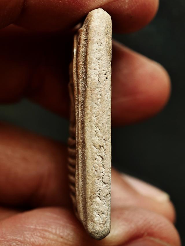 พระสมเด็จวัดเกศไชโย พิมพ์ ๗ ชั้น....เก่าๆ รูปที่ 10