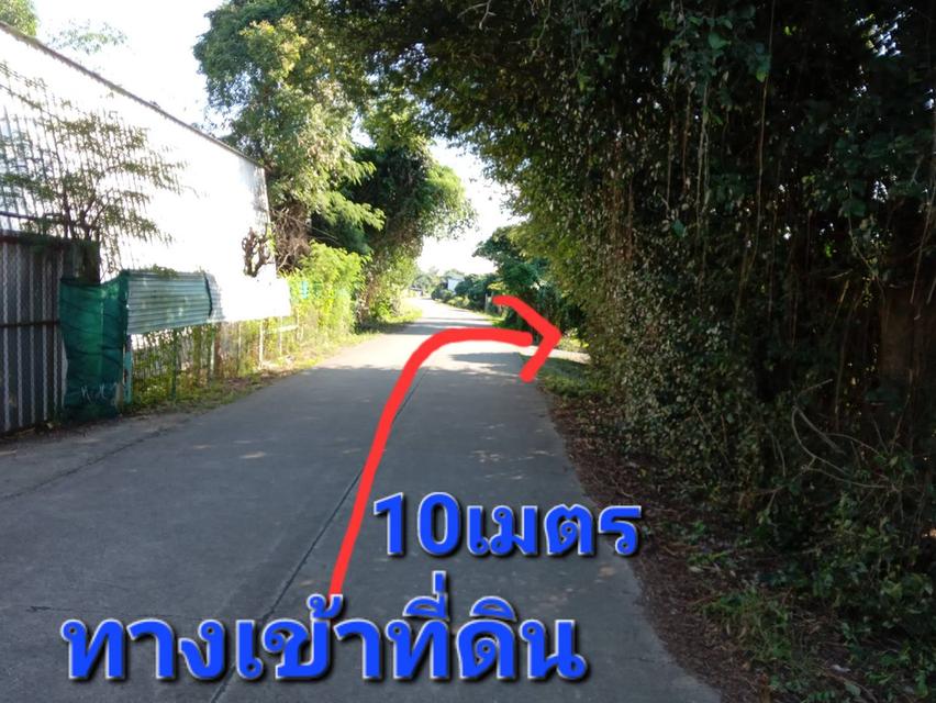 🏡 ขายที่ดินสวนลำไย ทำเลดี ใกล้ถนนซุปเปอร์ฯเชียงใหม่-ลำปาง 2