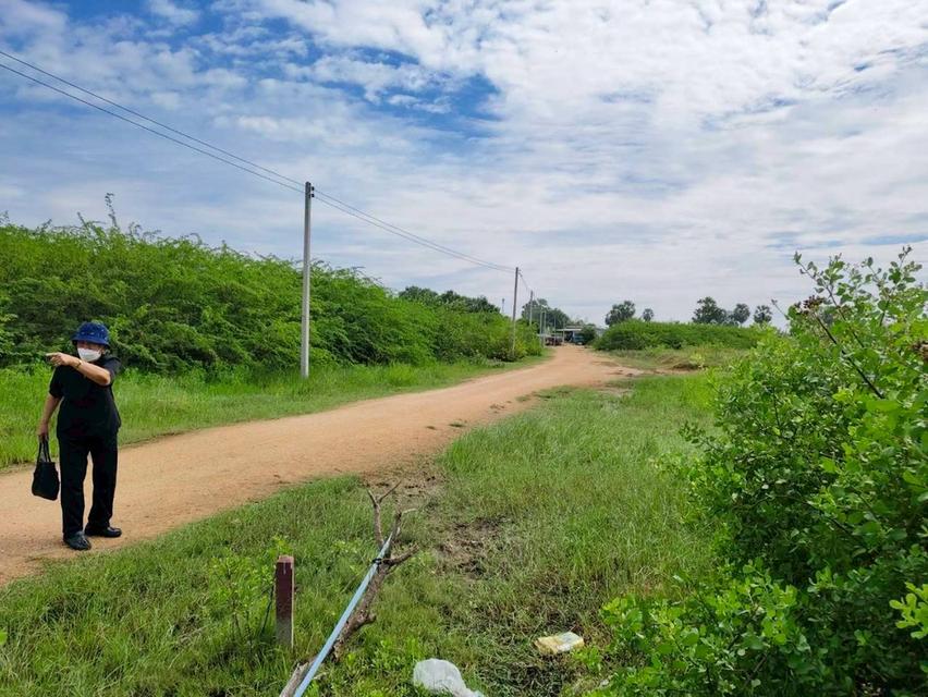 ที่ดินเปล่า 12 ไร่ อ.ชะอำ 2