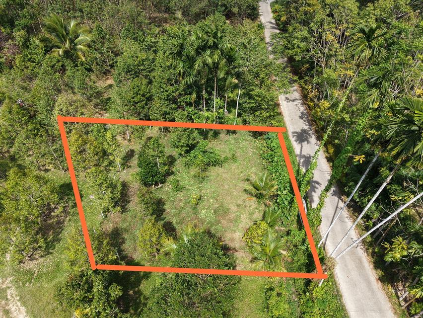 ที่ดินปลูกบ้าน โกดังเก็บของ 3