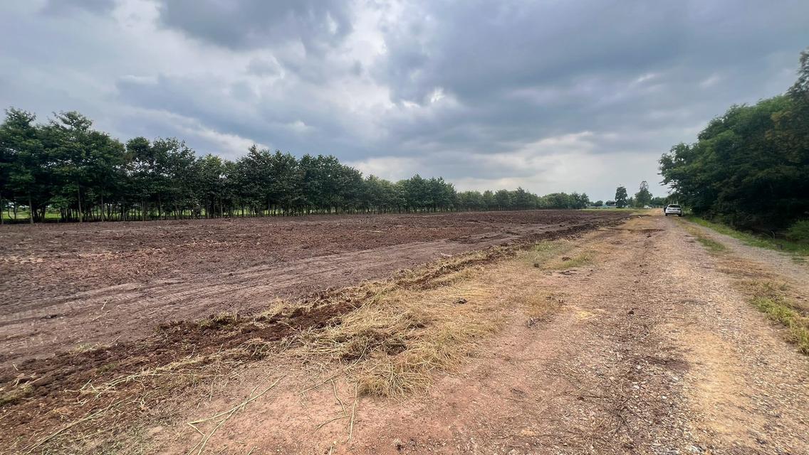 ขายที่ดินเปิดแปลงใหม่ คลอง 11 ตำบล บึงบา อำเภอ หนองเสือ ปทุมธานี 10