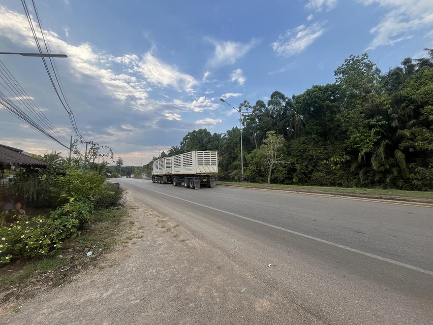 ขายที่ดิน 4 ห้อง land 5