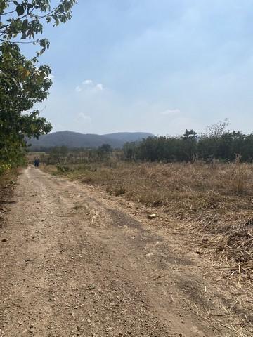 ที่ดิน ที่ดินบ้านโป่งตะขบ อ.วังม่วง จ.สระบุรี 6500000 BAHT ใกล้ ห่างจากเขื่อนป่าสักชลสิทธิ์ ประมาณ 15 กม. ทำเลเด่น สระบุ 5