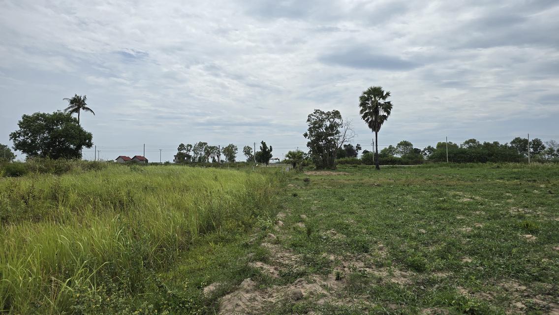ที่ดินแปลงสวย ใกล้ทะเล ใกล้รถไฟความเร็วสูง 5