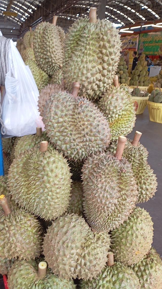 ทุเรียนหมอนทองเป็นลูกรับประกันเนื่อ 8