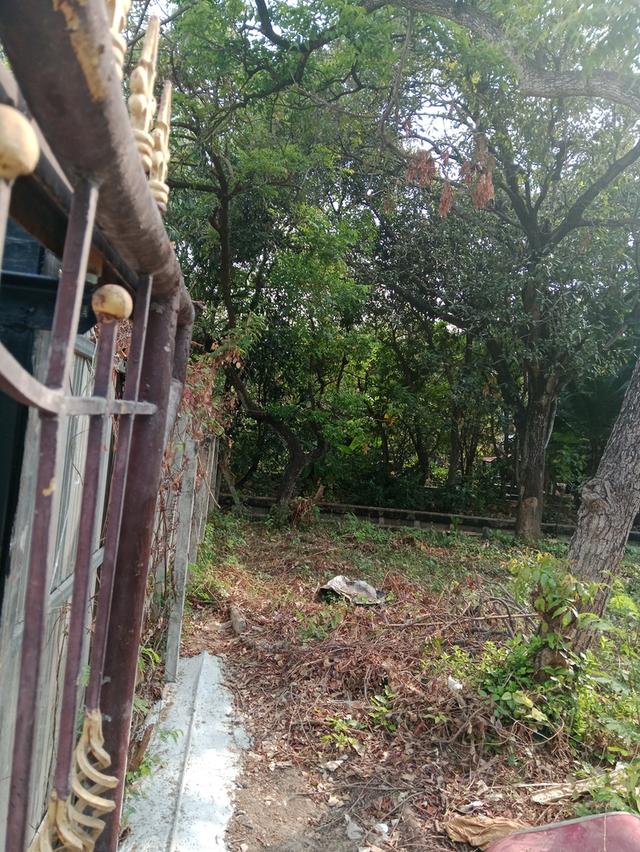 ที่ดินเปล่าติดคลองบางพหรม 3