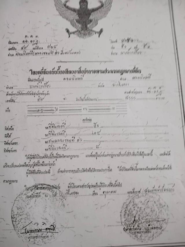 ที่ดิน 20 ไร่ บางน้ำเปรี้ยว ฉะเชิงเทรา 3