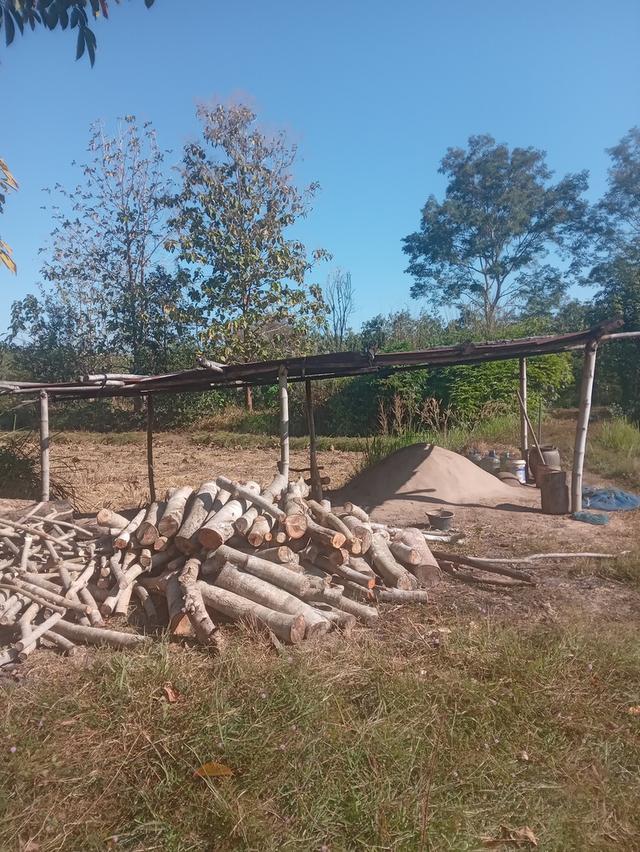 ที่นา+สวนยาง15ไร่3งาน 6